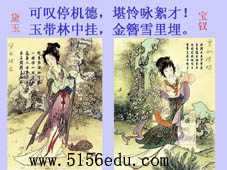 十二金钗介绍ppt课件